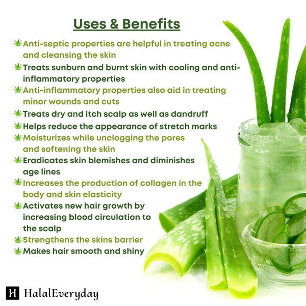 100% Pure Aloe Vera Gel - Organic Skin Care Soothing Moisturizing Cosmetic Grade