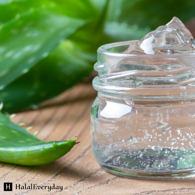 100% Pure Aloe Vera Gel - Organic Skin Care Soothing Moisturizing Cosmetic Grade
