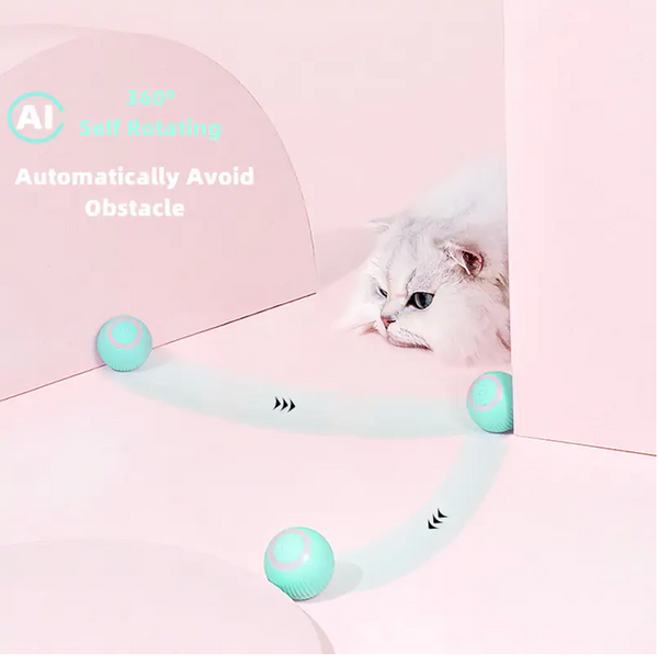 https://arayaexpres.com/products/smart-cat-ball-toys?_pos=1&_sid=a6452a5aa&_ss=r